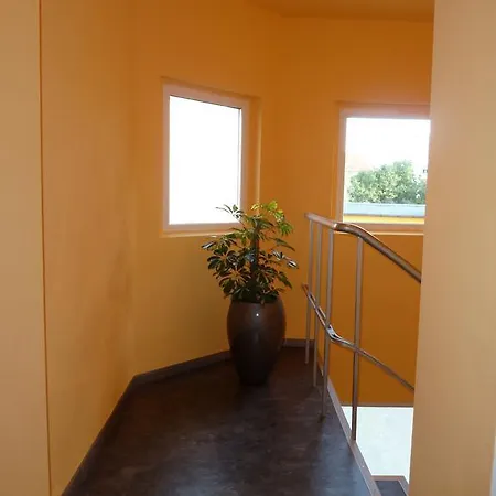 Hotel Wittenberg-hotel Garni 2*