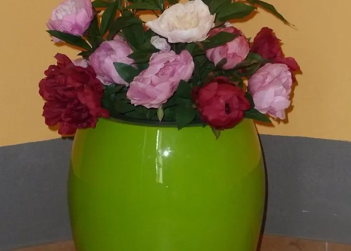 Hotel Wittenberg-Hotel Garni Hotel