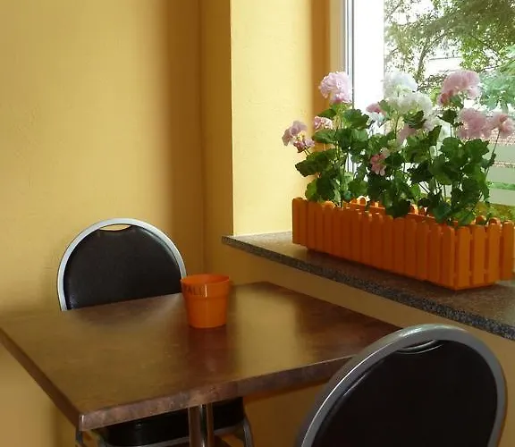 Hotel Hotel Wittenberg-Hotel Garni 2*