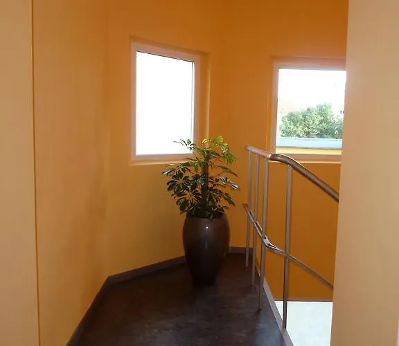 Hotel Hotel Wittenberg-Hotel Garni 2*